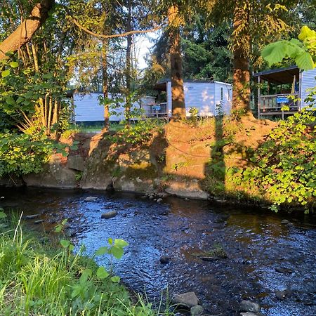 S-Chalet Camping Mit Comfort Im Schwarzwald Steinach  Exterior photo